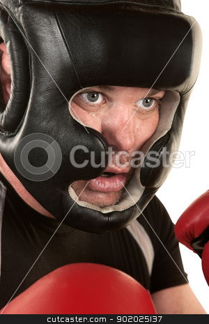 To use this stock image in your creative project, please select the size you need over to the right and click the "Add to Cart" button.
Your downloaded image will come with the Cutcaster watermark removed so don’t worry about the watermark you see on this page. Male Boxer Close Up stock photo, Close up of male boxer in safety helmet on white background by Scott Griessel
