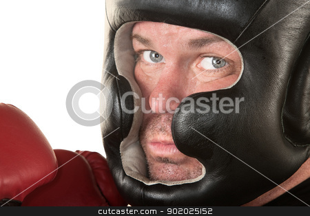To use this stock image in your creative project, please select the size you need over to the right and click the "Add to Cart" button.
Your downloaded image will come with the Cutcaster watermark removed so don’t worry about the watermark you see on this page. Serious Boxer Close Up stock photo, White male boxer with serious expression on isolated background by Scott Griessel