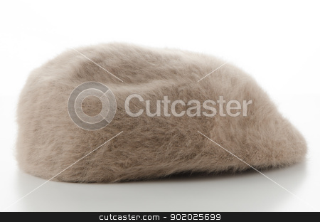 To use this stock image in your creative project, please select the size you need over to the right and click the "Add to Cart" button.
Your downloaded image will come with the Cutcaster watermark removed so don’t worry about the watermark you see on this page. Brown cap stock photo, Brown retro style fur cap on white background. by Homydesign