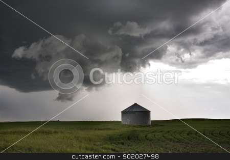 To use this stock image in your creative project, please select the size you need over to the right and click the "Add to Cart" button.
Your downloaded image will come with the Cutcaster watermark removed so don’t worry about the watermark you see on this page. Storm Clouds Saskatchewan stock photo, Storm Clouds Saskatchewan agriculture field prairie crop by Mark Duffy