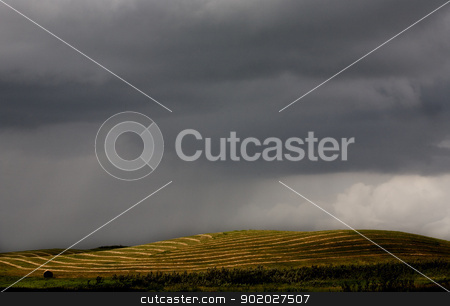 To use this stock image in your creative project, please select the size you need over to the right and click the "Add to Cart" button.
Your downloaded image will come with the Cutcaster watermark removed so don’t worry about the watermark you see on this page. Storm Clouds Saskatchewan stock photo, Storm Clouds Saskatchewan agriculture field prairie crop by Mark Duffy