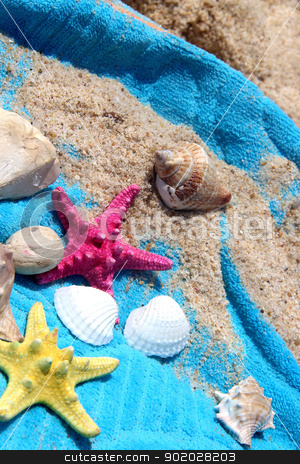 To use this stock image in your creative project, please select the size you need over to the right and click the "Add to Cart" button.
Your downloaded image will come with the Cutcaster watermark removed so don’t worry about the watermark you see on this page. Sea composition of starfishes and shells stock photo, Sea composition of starfishes, shells and blue towel by Tatiana Mihaliova