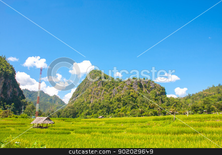 To use this stock image in your creative project, please select the size you need over to the right and click the "Add to Cart" button.
Your downloaded image will come with the Cutcaster watermark removed so don’t worry about the watermark you see on this page. Landscape stock photo, beautiful of nature. by iroomm