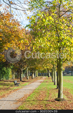 To use this stock image in your creative project, please select the size you need over to the right and click the "Add to Cart" button.
Your downloaded image will come with the Cutcaster watermark removed so don’t worry about the watermark you see on this page. Park in Autumn stock photo, Footpath in a park lined up with trees with orange and yellow leaves in autumn. Recreation Park in Colchester, England. by Brigida Soriano