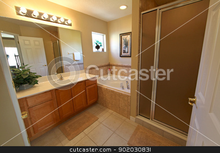 To use this stock image in your creative project, please select the size you need over to the right and click the "Add to Cart" button.
Your downloaded image will come with the Cutcaster watermark removed so don’t worry about the watermark you see on this page. Master Bathroom stock photo, A Bathroom, Interior shot in a Home by Lucy Clark
