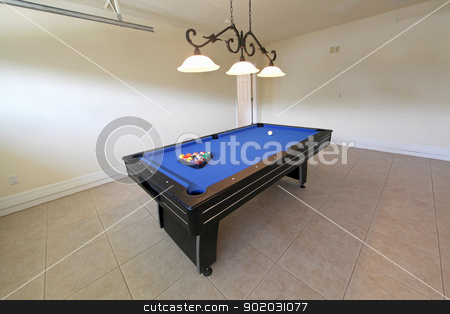 To use this stock image in your creative project, please select the size you need over to the right and click the "Add to Cart" button.
Your downloaded image will come with the Cutcaster watermark removed so don’t worry about the watermark you see on this page. Pool Table stock photo, A pool table in a garage in Florida by Lucy Clark