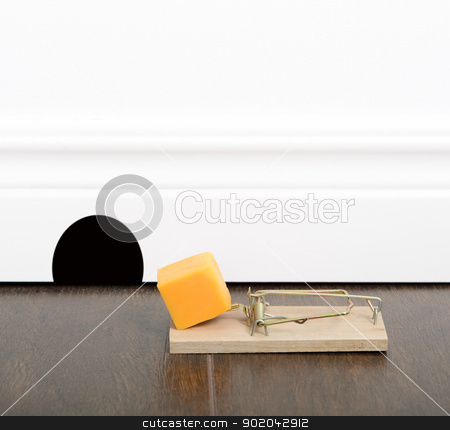 To use this stock image in your creative project, please select the size you need over to the right and click the "Add to Cart" button.
Your downloaded image will come with the Cutcaster watermark removed so don’t worry about the watermark you see on this page. Mousetrap stock photo, Mousetrap set with cheddar cheese on a floor, next to a mouse hole. by Richard Nelson