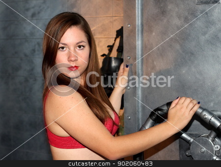 To use this stock image in your creative project, please select the size you need over to the right and click the "Add to Cart" button.
Your downloaded image will come with the Cutcaster watermark removed so don’t worry about the watermark you see on this page. Sexy Brunette stock photo, Sexy brunette woman in from of a metal background. by Henrik Lehnerer