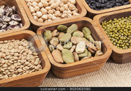 To use this stock image in your creative project, please select the size you need over to the right and click the "Add to Cart" button.
Your downloaded image will come with the Cutcaster watermark removed so don’t worry about the watermark you see on this page. bean and lentil set stock photo, a collection of bean and lentil in wooden square bowls by Marek Uliasz