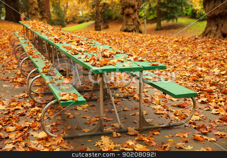 To use this stock image in your creative project, please select the size you need over to the right and click the "Add to Cart" button.
Your downloaded image will come with the Cutcaster watermark removed so don’t worry about the watermark you see on this page. Long autumn picnic table stock photo, Long autumn green picnic table covered with fall leaves in a park by bobkeenan