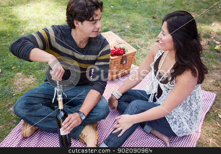 To use this stock image in your creative project, please select the size you need over to the right and click the "Add to Cart" button.
Your downloaded image will come with the Cutcaster watermark removed so don’t worry about the watermark you see on this page. Attractive Hispanic Couple Having a Picnic in the Park stock photo, Attractive Hispanic Couple Having a Picnic Outdoors in the Park. by Andy Dean