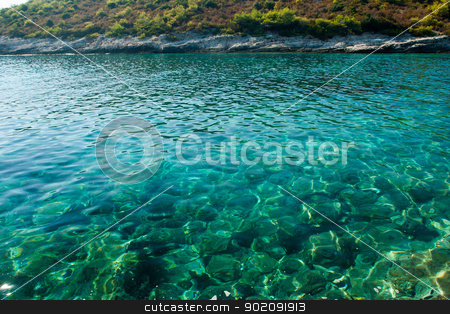 To use this stock image in your creative project, please select the size you need over to the right and click the "Add to Cart" button.
Your downloaded image will come with the Cutcaster watermark removed so don’t worry about the watermark you see on this page. beautiful rocky beach in croatia stock photo, beautiful rocky beach in croatia by Jozsef Demeter