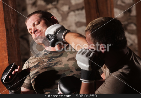To use this stock image in your creative project, please select the size you need over to the right and click the "Add to Cart" button.
Your downloaded image will come with the Cutcaster watermark removed so don’t worry about the watermark you see on this page. Male Fighter Hit in Jaw stock photo, Caucasian man gets hit in jaw during MMA fight by Scott Griessel