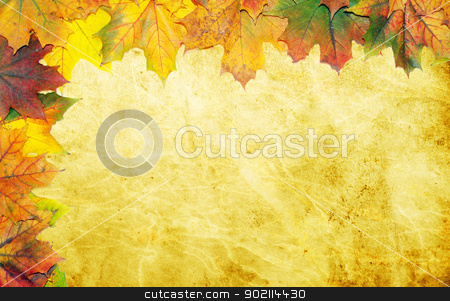 To use this stock image in your creative project, please select the size you need over to the right and click the "Add to Cart" button.
Your downloaded image will come with the Cutcaster watermark removed so don’t worry about the watermark you see on this page. maple leaves stock photo, autumn maple leaves on grunge background by Vitaliy Pakhnyushchyy