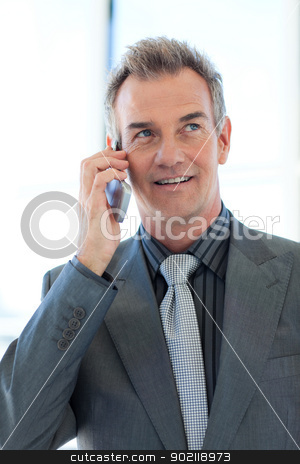 To use this stock image in your creative project, please select the size you need over to the right and click the "Add to Cart" button.
Your downloaded image will come with the Cutcaster watermark removed so don’t worry about the watermark you see on this page. Senior businessman talking on phone stock photo, Senior businessman talking on phone in office by Wavebreak Media