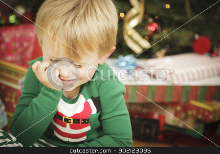To use this stock image in your creative project, please select the size you need over to the right and click the "Add to Cart" button.
Your downloaded image will come with the Cutcaster watermark removed so don’t worry about the watermark you see on this page. Young Grumpy Boy Sitting Near Christmas Tree stock photo, Grumpy Cute Young Boy on Christmas Morning Near The Tree. by Andy Dean