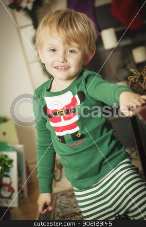 To use this stock image in your creative project, please select the size you need over to the right and click the "Add to Cart" button.
Your downloaded image will come with the Cutcaster watermark removed so don’t worry about the watermark you see on this page. Young Boy Enjoying Christmas Morning Near The Tree stock photo, Cute Young Boy Enjoying Christmas Morning Near The Tree. by Andy Dean