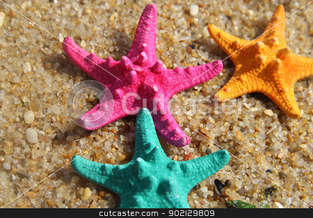 To use this stock image in your creative project, please select the size you need over to the right and click the "Add to Cart" button.
Your downloaded image will come with the Cutcaster watermark removed so don’t worry about the watermark you see on this page. Funny vivid starfishes stock photo, Funny starfishes on the beach by Tatiana Mihaliova