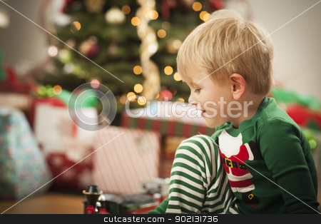 To use this stock image in your creative project, please select the size you need over to the right and click the "Add to Cart" button.
Your downloaded image will come with the Cutcaster watermark removed so don’t worry about the watermark you see on this page. Young Boy Enjoying Christmas Morning Near The Tree stock photo, Cute Young Boy Enjoying Christmas Morning Near The Tree. by Andy Dean