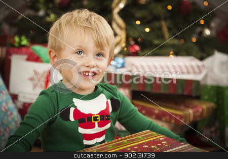 To use this stock image in your creative project, please select the size you need over to the right and click the "Add to Cart" button.
Your downloaded image will come with the Cutcaster watermark removed so don’t worry about the watermark you see on this page. Young Boy Enjoying Christmas Morning Near The Tree stock photo, Cute Young Boy Enjoying Christmas Morning Near The Tree. by Andy Dean
