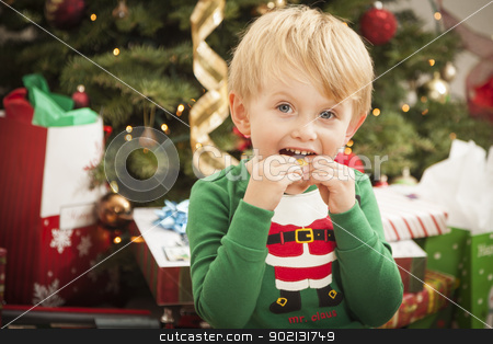 To use this stock image in your creative project, please select the size you need over to the right and click the "Add to Cart" button.
Your downloaded image will come with the Cutcaster watermark removed so don’t worry about the watermark you see on this page. Young Boy Enjoying Christmas Morning Near The Tree stock photo, Cute Young Boy Enjoying Christmas Morning Near The Tree. by Andy Dean