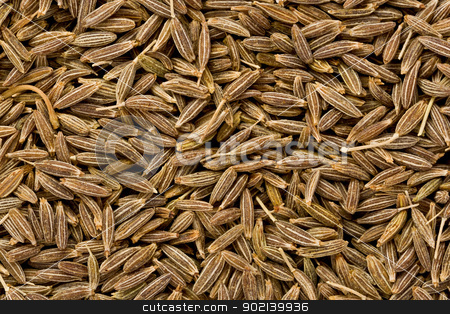 To use this stock image in your creative project, please select the size you need over to the right and click the "Add to Cart" button.
Your downloaded image will come with the Cutcaster watermark removed so don’t worry about the watermark you see on this page. Cumin Seeds (Cuminum cyminum) stock photo, Background texture of whole cumin seeds. by Glenn Price