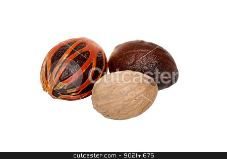 To use this stock image in your creative project, please select the size you need over to the right and click the "Add to Cart" button.
Your downloaded image will come with the Cutcaster watermark removed so don’t worry about the watermark you see on this page. Three whole nutmegs - covered in mace, in case and seed stock photo, Three whole nutmegs - covered in mace, in case and seed, isolated on a white background by Sarah Marchant