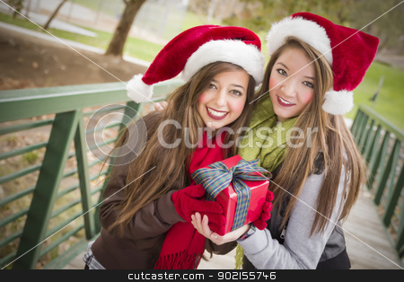To use this stock image in your creative project, please select the size you need over to the right and click the "Add to Cart" button.
Your downloaded image will come with the Cutcaster watermark removed so don’t worry about the watermark you see on this page. Two Smiling Women Santa Hats Holding a Wrapped Gift stock photo, Two Attractive Festive Smiling Mixed Race Women Wearing Christmas Santa Hats Holding a Wrapped Gift with Bow Outside. by Andy Dean