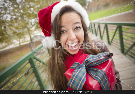 To use this stock image in your creative project, please select the size you need over to the right and click the "Add to Cart" button.
Your downloaded image will come with the Cutcaster watermark removed so don’t worry about the watermark you see on this page. Pretty Woman Wearing a Santa Hat with Wrapped Gift stock photo, Pretty Festive Smiling Woman Wearing a Christmas Santa Hat with Wrapped Gift and Bow Outside. by Andy Dean