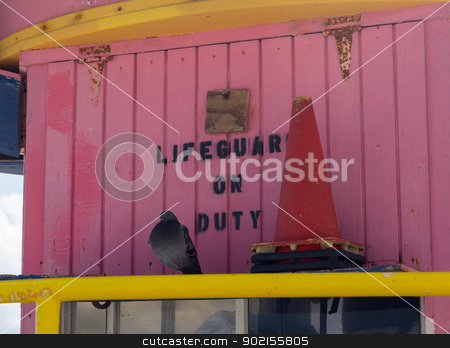 To use this stock image in your creative project, please select the size you need over to the right and click the "Add to Cart" button.
Your downloaded image will come with the Cutcaster watermark removed so don’t worry about the watermark you see on this page. Seagull stands on deserted Lifeguard station stock photo, Gull or seagull sits on the railing by pink lifeguard station on Miami beach by Steven Heap