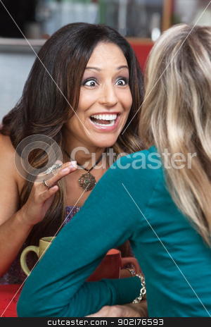 To use this stock image in your creative project, please select the size you need over to the right and click the "Add to Cart" button.
Your downloaded image will come with the Cutcaster watermark removed so don’t worry about the watermark you see on this page. Excited Woman Talking in Restaurant stock photo, Excited beautiful woman talking to friend in restaurant by Scott Griessel