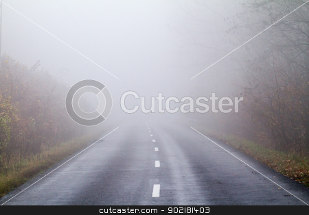 To use this stock image in your creative project, please select the size you need over to the right and click the "Add to Cart" button.
Your downloaded image will come with the Cutcaster watermark removed so don’t worry about the watermark you see on this page. Asphalt road in an autumn fog stock photo, Asphalt road in an autumn fog by Jozsef Demeter