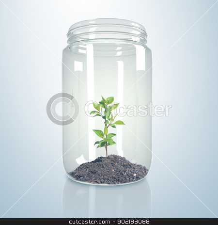 To use this stock image in your creative project, please select the size you need over to the right and click the "Add to Cart" button.
Your downloaded image will come with the Cutcaster watermark removed so don’t worry about the watermark you see on this page. Green sprout inside glass jar stock photo, Green sprout and soil inside a glass jar by Sergey Nivens