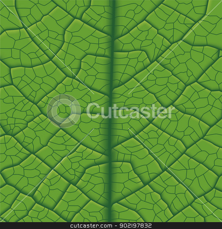 To use this stock image in your creative project, please select the size you need over to the right and click the "Add to Cart" button.
Your downloaded image will come with the Cutcaster watermark removed so don’t worry about the watermark you see on this page. Leaf Vein stock vector clipart, Layered Vector Illustration Of Green Leaf Vein. by Liu Yin