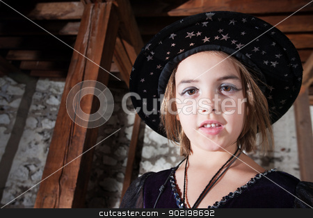 To use this stock image in your creative project, please select the size you need over to the right and click the "Add to Cart" button.
Your downloaded image will come with the Cutcaster watermark removed so don’t worry about the watermark you see on this page. Young Witch in Hat stock photo, Adorable young female witch wearing cap with stars by Scott Griessel