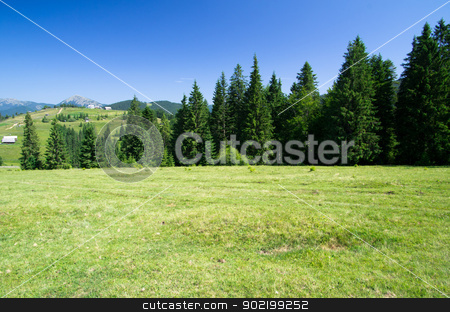 To use this stock image in your creative project, please select the size you need over to the right and click the "Add to Cart" button.
Your downloaded image will come with the Cutcaster watermark removed so don’t worry about the watermark you see on this page. mountain stock photo, mountain summer landscape with blue sky by Vitaliy Pakhnyushchyy