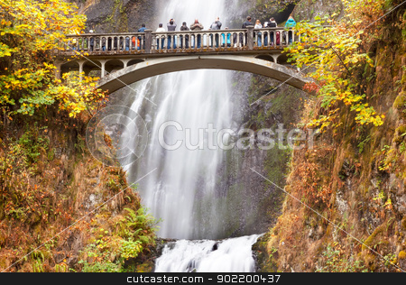 To use this stock image in your creative project, please select the size you need over to the right and click the "Add to Cart" button.
Your downloaded image will come with the Cutcaster watermark removed so don’t worry about the watermark you see on this page. Multnomah Falls Waterfall Columbia River Gorge, Oregon stock photo, Multnomah Falls Waterfall Autumn, Fall Bridge Columbia River Gorge, Oregon, Pacific Northwest by William Perry