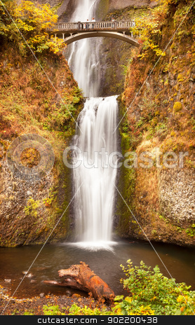 To use this stock image in your creative project, please select the size you need over to the right and click the "Add to Cart" button.
Your downloaded image will come with the Cutcaster watermark removed so don’t worry about the watermark you see on this page. Multnomah Falls Waterfall Columbia River Gorge, Oregon stock photo, Multnomah Falls Waterfall Autumn, Fall Bridge Columbia River Gorge, Oregon, Pacific Northwest by William Perry