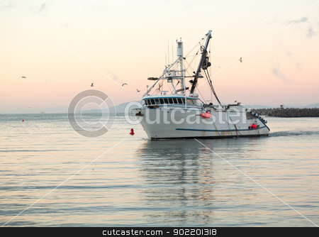 To use this stock image in your creative project, please select the size you need over to the right and click the "Add to Cart" button.
Your downloaded image will come with the Cutcaster watermark removed so don’t worry about the watermark you see on this page. Fishing boat entering Ventura harbor dawn stock photo, Fishing boat trawler entering harbor at Ventura at dawn with lights and birds following by Steven Heap