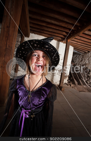 To use this stock image in your creative project, please select the size you need over to the right and click the "Add to Cart" button.
Your downloaded image will come with the Cutcaster watermark removed so don’t worry about the watermark you see on this page. Screaming Young Witch stock photo, Screaming young female witch with hat and purple dress by Scott Griessel