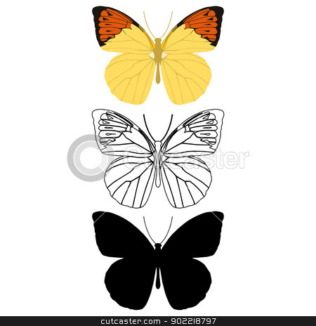 To use this stock image in your creative project, please select the size you need over to the right and click the "Add to Cart" button.
Your downloaded image will come with the Cutcaster watermark removed so don’t worry about the watermark you see on this page. Butterfly stock vector clipart, Layered vector illustration of Butterfly. by Liu Yin
