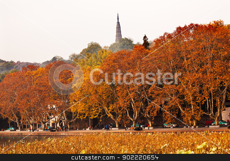 To use this stock image in your creative project, please select the size you need over to the right and click the "Add to Cart" button.
Your downloaded image will come with the Cutcaster watermark removed so don’t worry about the watermark you see on this page. Ancient Baochu Pagoda Autumn West Lake Hangzhou Zhejiang China stock photo, Ancient Baochu Pagoda Autumn Orange Fall Leaves Old Lotus Leaves West Lake Hangzhou Zhejiang China . Pagoda was constructed in 963AD by William Perry