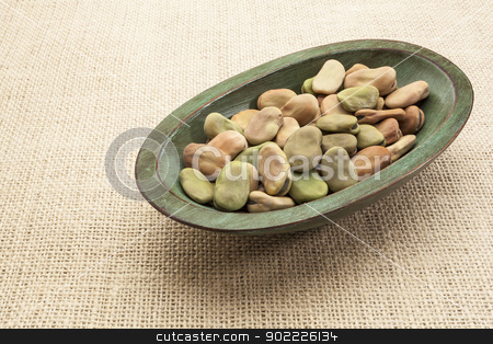 To use this stock image in your creative project, please select the size you need over to the right and click the "Add to Cart" button.
Your downloaded image will come with the Cutcaster watermark removed so don’t worry about the watermark you see on this page. fava (broad) beans stock photo, fava (broad) beans in a rustic wood bowl against burlap canvas by Marek Uliasz