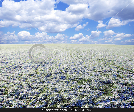 To use this stock image in your creative project, please select the size you need over to the right and click the "Add to Cart" button.
Your downloaded image will come with the Cutcaster watermark removed so don’t worry about the watermark you see on this page. winter field stock photo, winter field and clouds in sky by Vitaliy Pakhnyushchyy