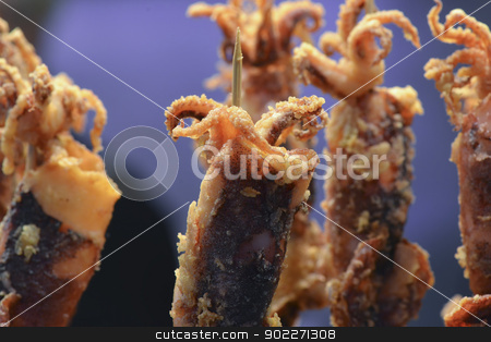 To use this stock image in your creative project, please select the size you need over to the right and click the "Add to Cart" button.
Your downloaded image will come with the Cutcaster watermark removed so don’t worry about the watermark you see on this page. Fried squid stock photo, Fried squid in Barcelona market by lillo