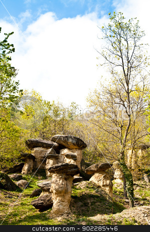 To use this stock image in your creative project, please select the size you need over to the right and click the "Add to Cart" button.
Your downloaded image will come with the Cutcaster watermark removed so don’t worry about the watermark you see on this page. Imaginative forest landscape stock photo, Curious forest in Italy, Piemonte region, close to Cuneo city. The name of the forest is