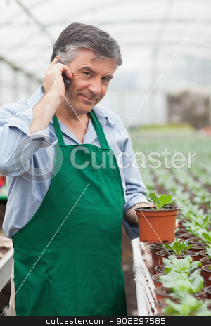 To use this stock image in your creative project, please select the size you need over to the right and click the "Add to Cart" button.
Your downloaded image will come with the Cutcaster watermark removed so don’t worry about the watermark you see on this page. Assistant calling while holding a seedling stock photo, Assistant calling while holding a seedling in greenhouse by Wavebreak Media