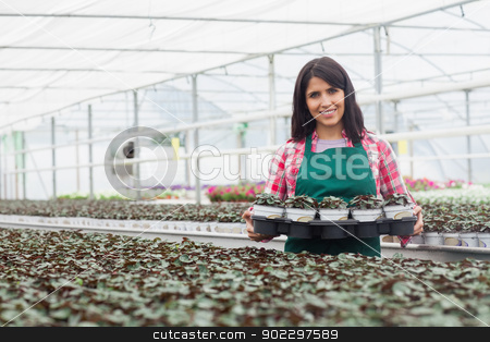 To use this stock image in your creative project, please select the size you need over to the right and click the "Add to Cart" button.
Your downloaded image will come with the Cutcaster watermark removed so don’t worry about the watermark you see on this page. Woman carrying a box of plants stock photo, Woman carrying a box of plants working in greenhouse by Wavebreak Media