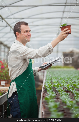 To use this stock image in your creative project, please select the size you need over to the right and click the "Add to Cart" button.
Your downloaded image will come with the Cutcaster watermark removed so don’t worry about the watermark you see on this page. Gardener looking happily at seedling while taking notes stock photo, Gardener lookinghappily at seedling while taking notes in greenhouse nursery by Wavebreak Media