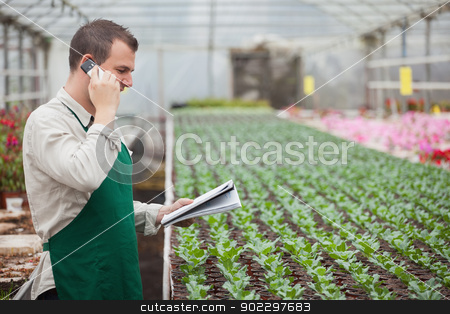 To use this stock image in your creative project, please select the size you need over to the right and click the "Add to Cart" button.
Your downloaded image will come with the Cutcaster watermark removed so don’t worry about the watermark you see on this page. Gardener calling and taking notes in greenhouse stock photo, Gardener calling and taking notes for stocktaking in greenhouse nursery by Wavebreak Media